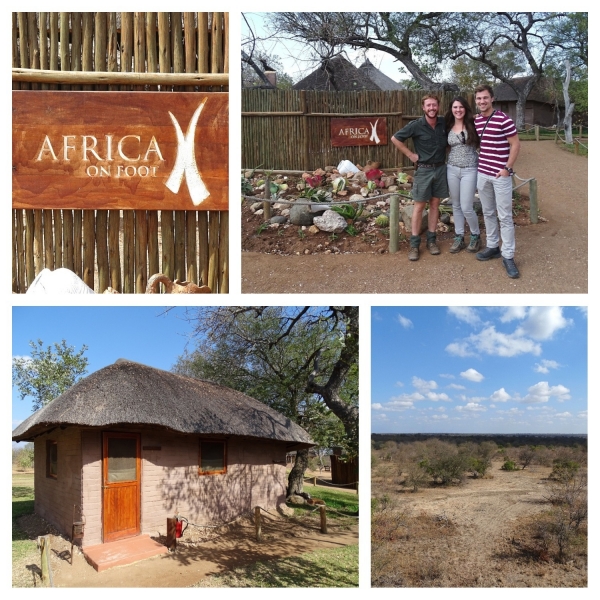 Collage Africa On Foot Africa On Footcamp