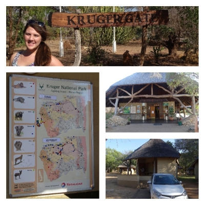 Collage Krugerpark Kruger Park