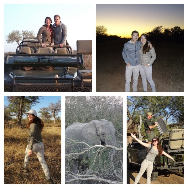 Safari Safari