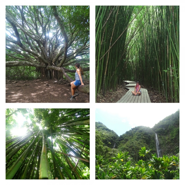 Pipiwai Trail Pipiwai Trail tijdens Road to Hana