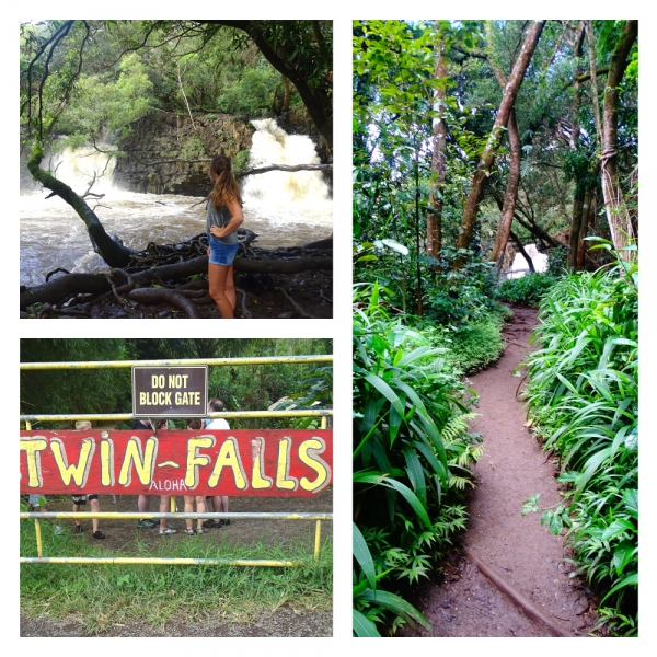 Twin Falls Twin Falls tijdens Road to Hana