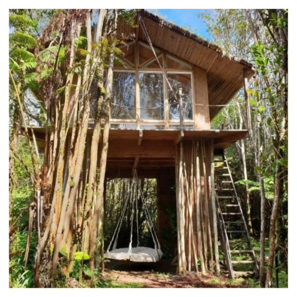 Boomhut Big Island Boomhut Big Island