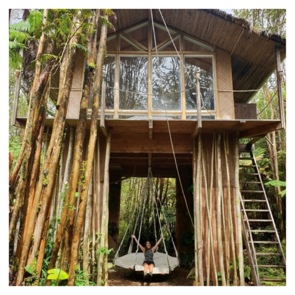 Boomhut Big Island Boomhut Big Island