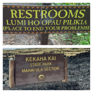 Hawaiiaanse taal